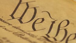 We The People Stock Footage