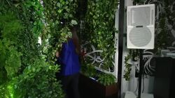 World's first bio-responsive garden pops up in London News Clip