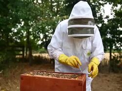 Views of a Bee Keeper in Somerset Stock Footage