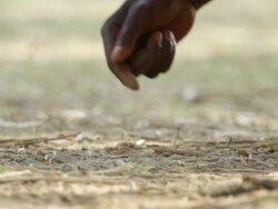 CU Ranger's hand touching the ground / Lukuzi, Eastern, Zambia Stock Footage