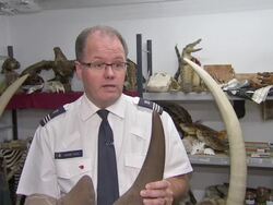 Border officials seize smuggled animal products News Clip