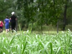 Runners Stock Footage