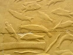 MS TD ZO Mastaba interior ancient wall paintings / Saqqara, Egypt Stock Footage