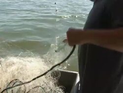 Fishermen pull an empty net from the Chesapeake Bay Stock Footage