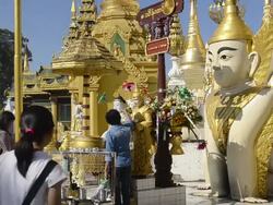 MS Shot of local people pouring water on Buddha likeness at shrine in shwedagon pagoda / Yangon, Yangon Division, Myanmar Stock Footage