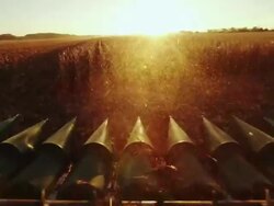 POV combine harvesting corn in a large field, comes to the end of the field. Stock Footage