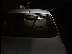 West Bank - Shooting/Ashrawi speaks on peace News Clip