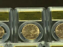 $10 million in gold coins found Stock Footage