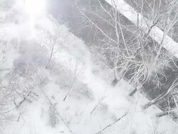 snowfall with sunlight Stock Footage