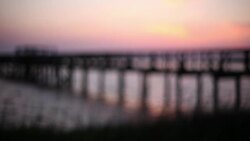 Young boys run through tall grass towards dock as the sun sets over the water Stock Footage