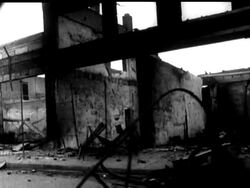 THE AMERICAN DILEMMA News Clip