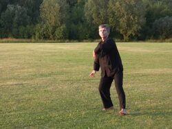 tai chi crane Stock Footage