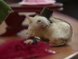 Stuffed taxidermy mice made to look like humans News Clip