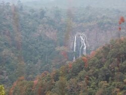 Waterfall in Autumn forest Stock Footage