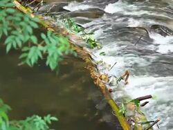 Turbulent flow waterfall. Stock Footage