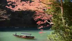 scenic beauty tourists travel Arashiyama W Stock Footage