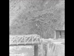 SYND 21 8 67 REFUGEES FLEE MERCENARIES UNDER COLONEL SCHRAMME ADVANCE News Clip