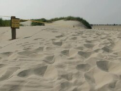 WS Shot of warning board in dune landscape, North Sea North Frisia, / St. Peter Ording, Schleswig Holstein, Germany Stock Footage