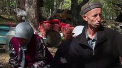 Harvest time in the world's largest walnut grove Instructional Video