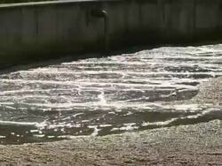 MS Clarifying basin at purification plant / Konz, Rhineland-Palatinate, Germany Stock Footage