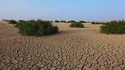 Arid wasteland in the desert of Tunisia / Africa Stock Footage