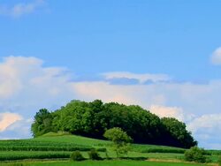 Hills and Trees Stock Footage