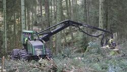 A forwarder, a specialist logging machine cutting down timber in Grizedale Forest, Lake District, Cumbria, UK. Stock Footage