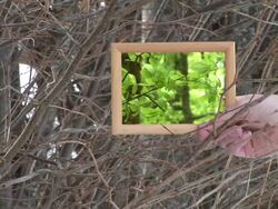 HD: Spring In The Winter Stock Footage