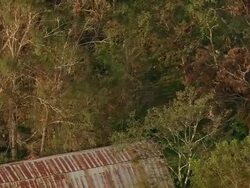 Sept. 11, 2005 aerial man waving next to Thank You written in grass in wake of hurricane / Louisiana Stock Footage