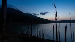 silhouette of dead trees in the lake with beautiful twilight sky Stock Footage