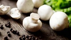 mushrooms and other vegetables Stock Footage