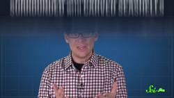 Where Do Domestic Cats Come From? Instructional Video