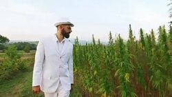 Man and Cannabis. Slow motion Stock Footage