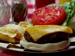 CHEESEBURGER & HOT DOG ON A PLATE Stock Footage