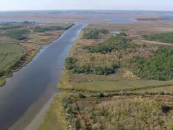 WS AERIAL ZI View of trees near river / South Carolina, United States Stock Footage