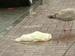 Fishermen and fishing boats in Brixham harbour News Clip