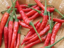 Red Hot Chili Peppers. Stock Footage