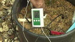 CLEAN : Chocolate greenhouse saving the worlds cocoa in Britain News Clip