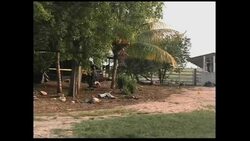 4:3 President tours site of massacre, scene Instructional Video