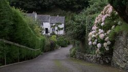 Flowers and shrubs grow alongside a village lane. Stock Footage