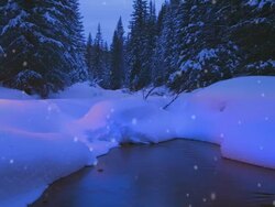Christmas tree glowing outdoors near a forest stream Stock Footage