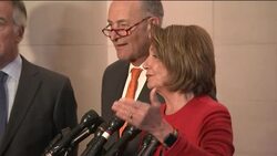 Senior Democrats hail gains in US elections News Clip