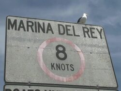 Boating Speed Limit Sign with Seagull - Handheld from Boat Stock Footage