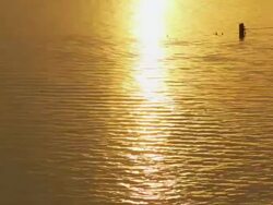 Sea Evening Time Stock Footage