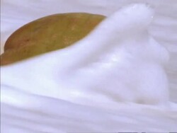 BCU Coconut lying on beach, gets washed away by surf, Seychelles Stock Footage