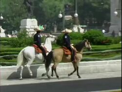 Mexican cowboys riding horses in Mexico City Stock Footage