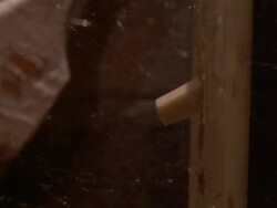 Extreme Close Up Tilt Up - Spider motionless in web /  Stock Footage