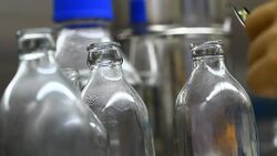 breeding orchid in biotechnology by plant tissue culture Stock Footage