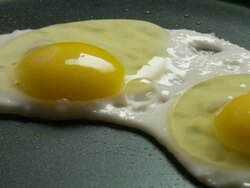 ECU, ZO, Two eggs frying on pan, Atlanta, Georgia, USA Stock Footage