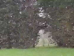 WS SLO MO View of Falling Snow / Calvados, Normandy, France Stock Footage